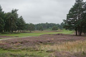 Sunningdale (New) 4th Heather